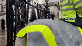Met police horse's passing through #horseguardsparade