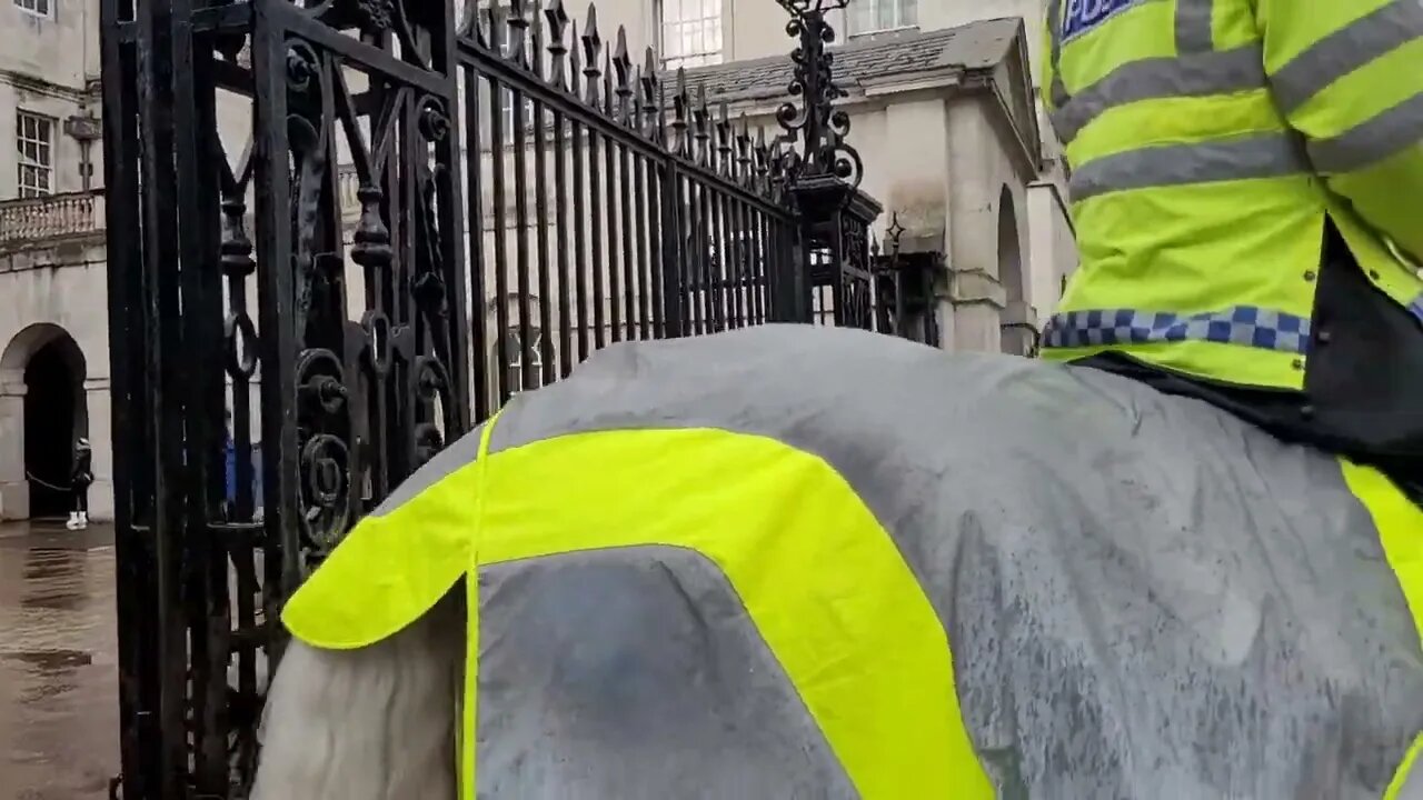 Met police horse's passing through #horseguardsparade