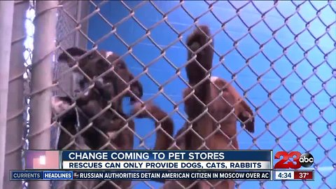 Changes coming to pet sales in California
