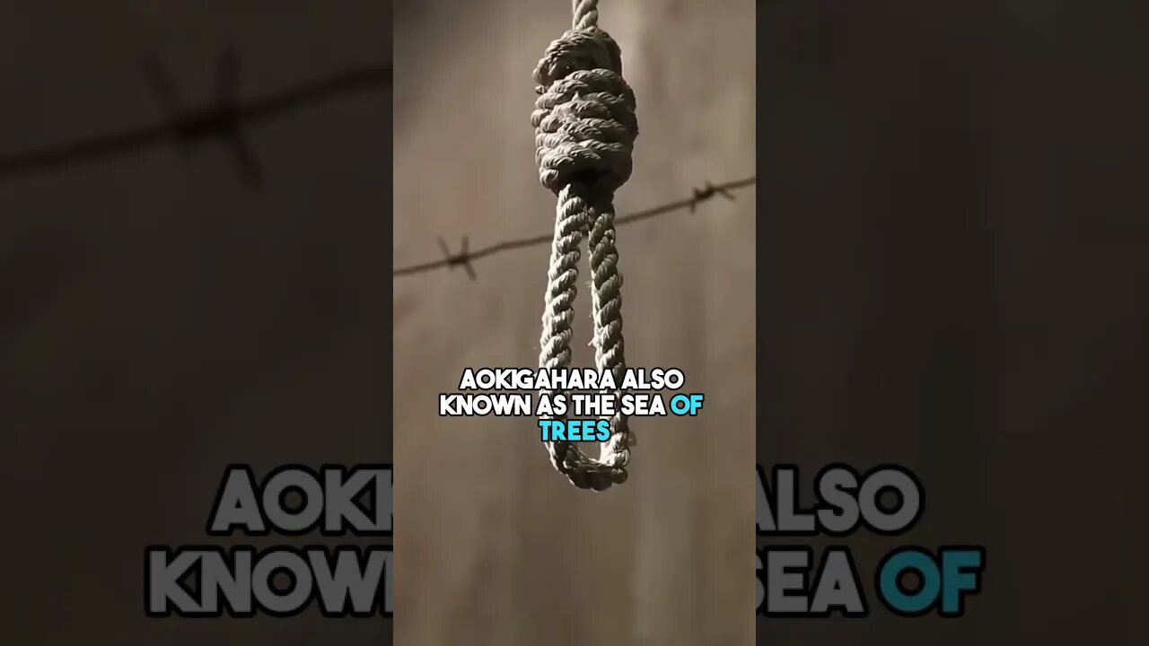 The Suicide Forest Is Terrifying