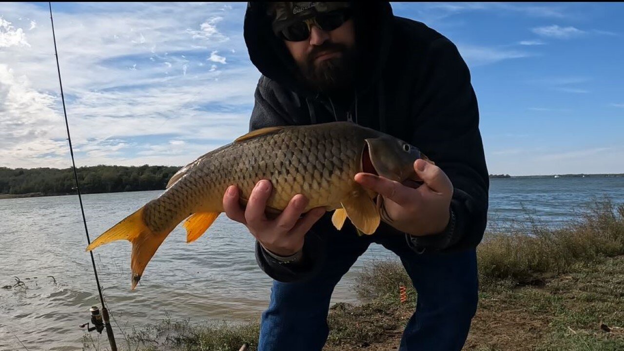 Carp Fishing Joe Pool Lake