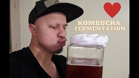 How To Make Kombucha