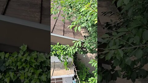 충남 당진 아미미술관