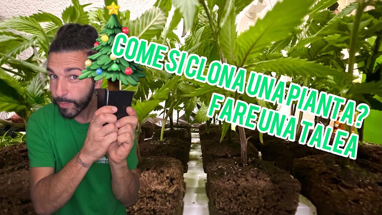 Tutorial: come si fa una talea? Clonare le piante