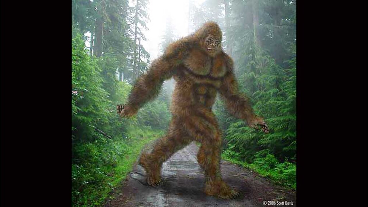 What is Bigfoot?