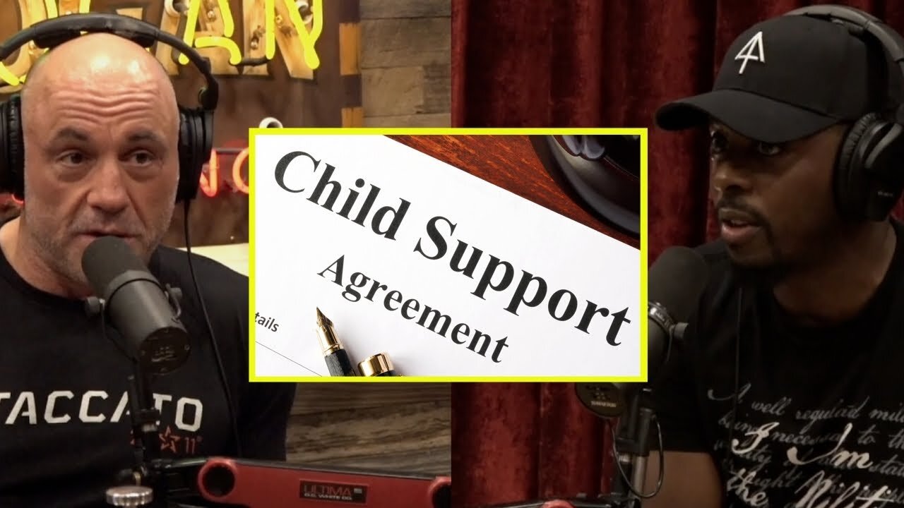 Is Child Support And Alimony Unconstitutional? | Joe Rogan & Colion Noir