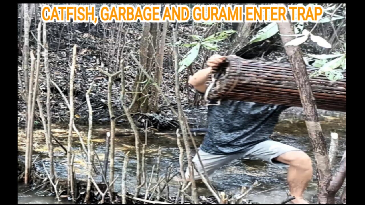 GOING INTO THE FOREST SETTING FISH TRAP IN THE RIVER