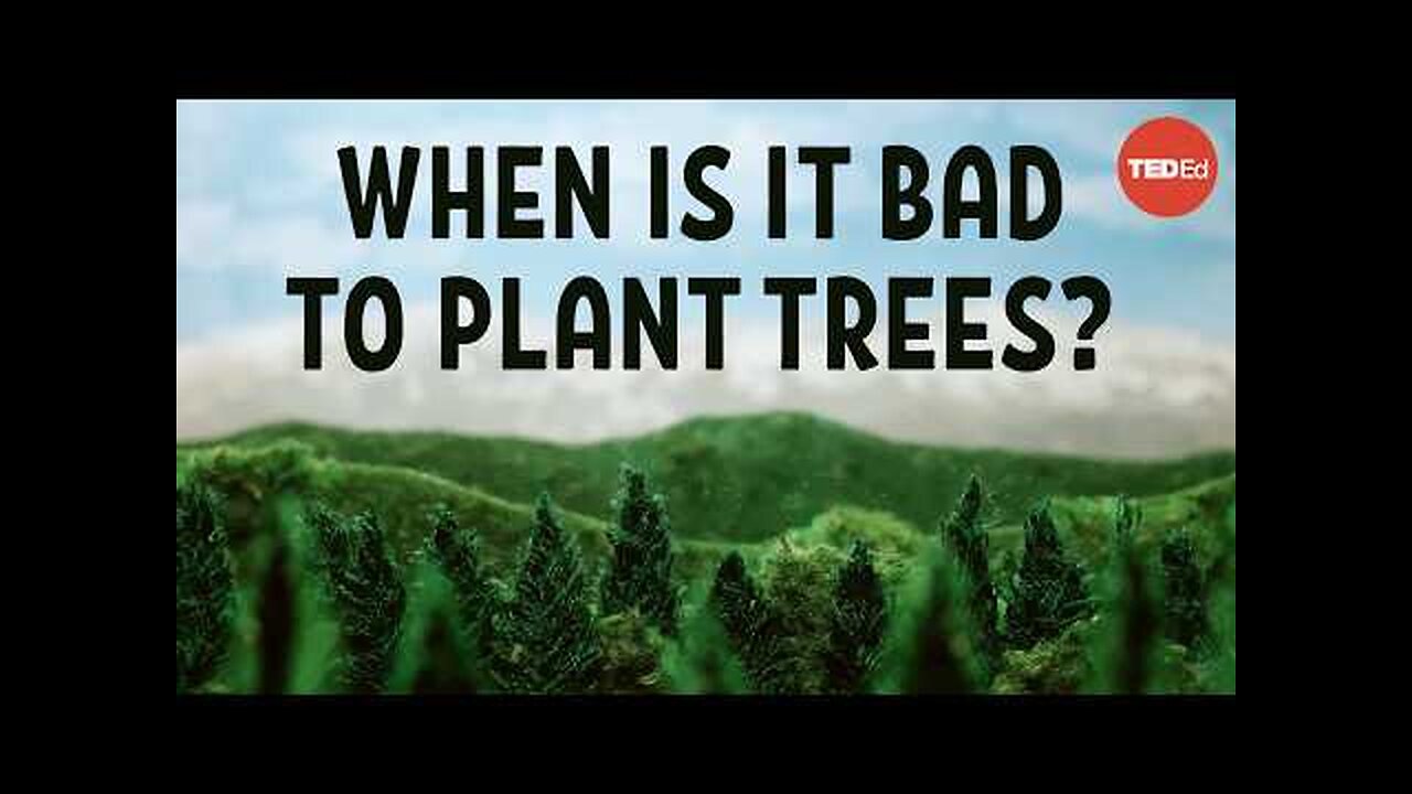 Does planting trees actually cool the planet?