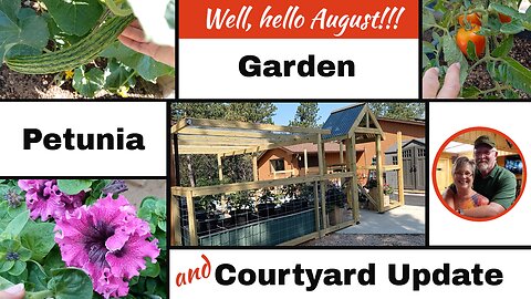 July 30th Courtyard and Garden Update