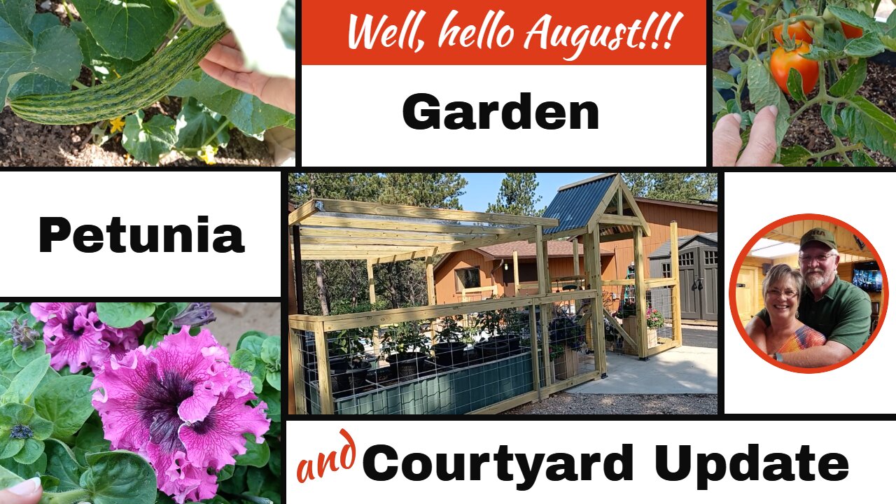 July 30th Courtyard and Garden Update