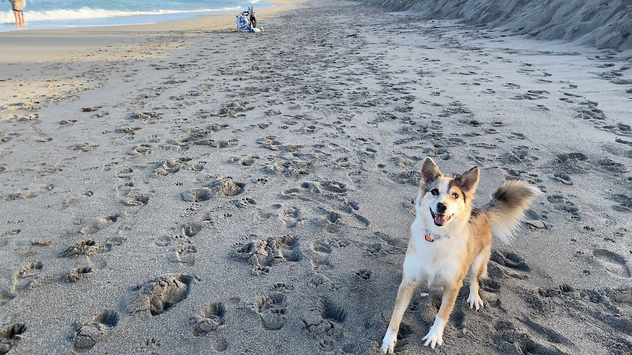 Crazy bitch on a beach!