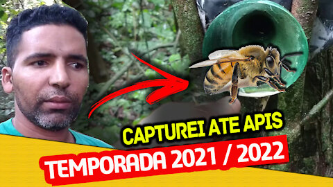 NEW BEE CATCHES 2022