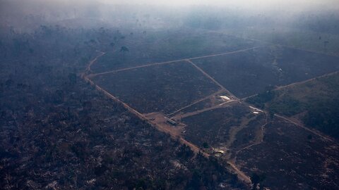 Fires In Brazil Stoke Clash Between Economic Gain And Preservation