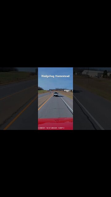 Truck cuts off tractor trailer #hedgehogshomestead