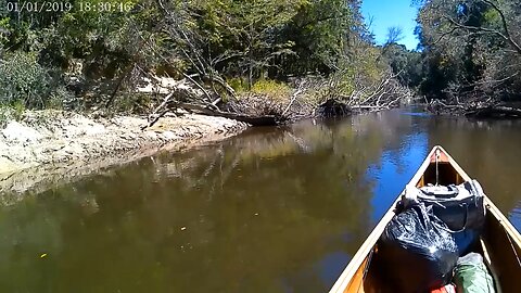 Canoeing down Black creek in Mississippi.