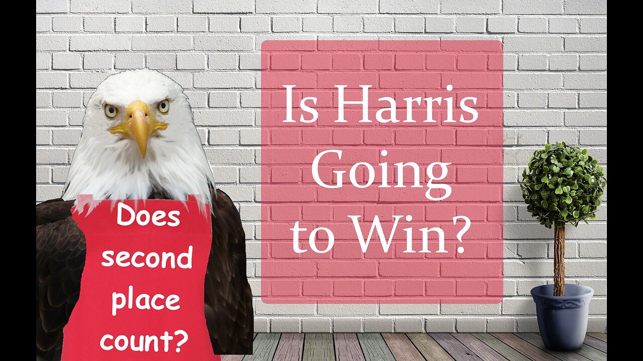 Is Harris Going to Win?