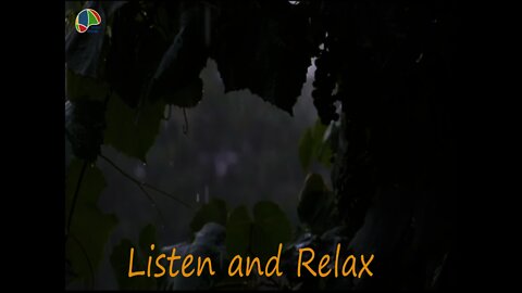 Relaxing Sleep Music - Relaxing Music, Sleep Music, Stress Relief, Deep Sleep