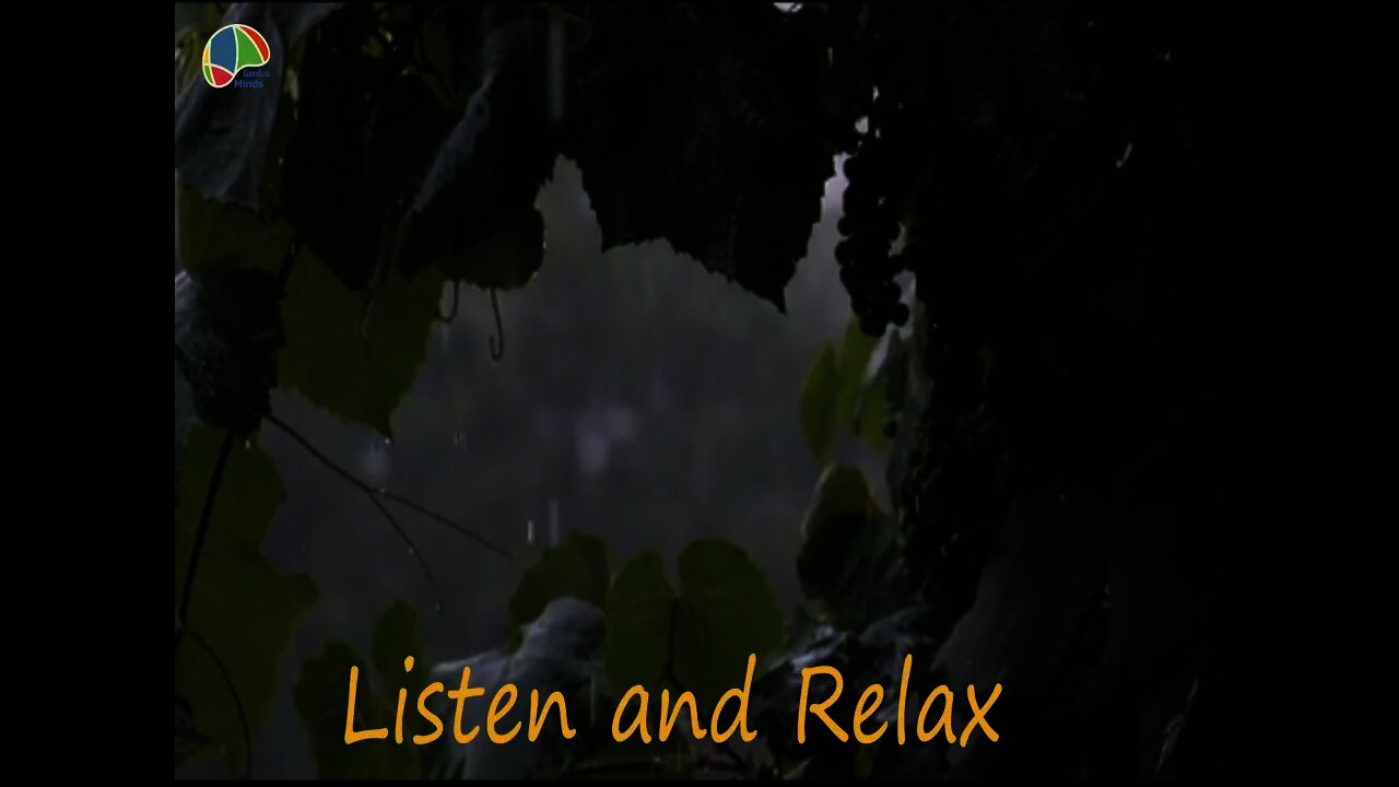 Relaxing Sleep Music - Relaxing Music, Sleep Music, Stress Relief, Deep Sleep