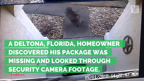 Age 6 Boy Forced to Steal Packages Left at Front Door. And It Wasn’t by His Parent