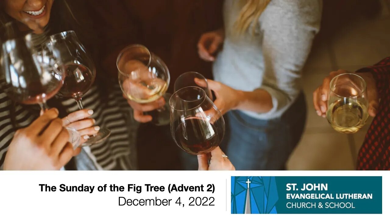 The Sunday of the Fig Tree (Advent 2) - December 4, 2022