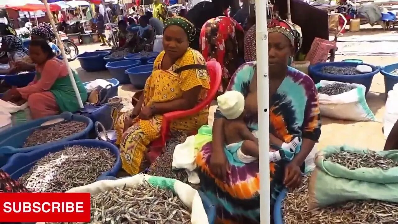 Karibuni Kigoma njoo tupate samaki na dagaa kwa uwingi