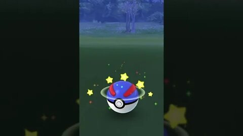 Pokémon Go - Pumpkaboo Wearing Spooky Festival Costume (Halloween 2022 Part II Event Pokémon)