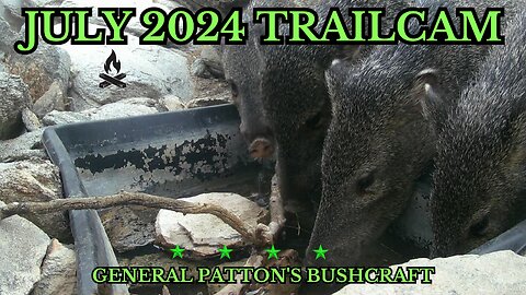 JULY 2024 ARIZONA TRAIL CAM FOOTAGE