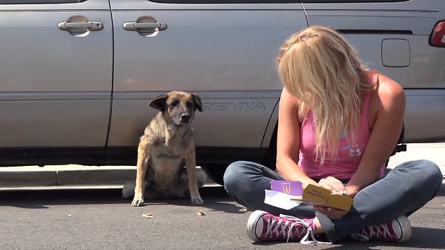 Abandoned Senior German Shepherd Was Saved By 'Hope For Paws'