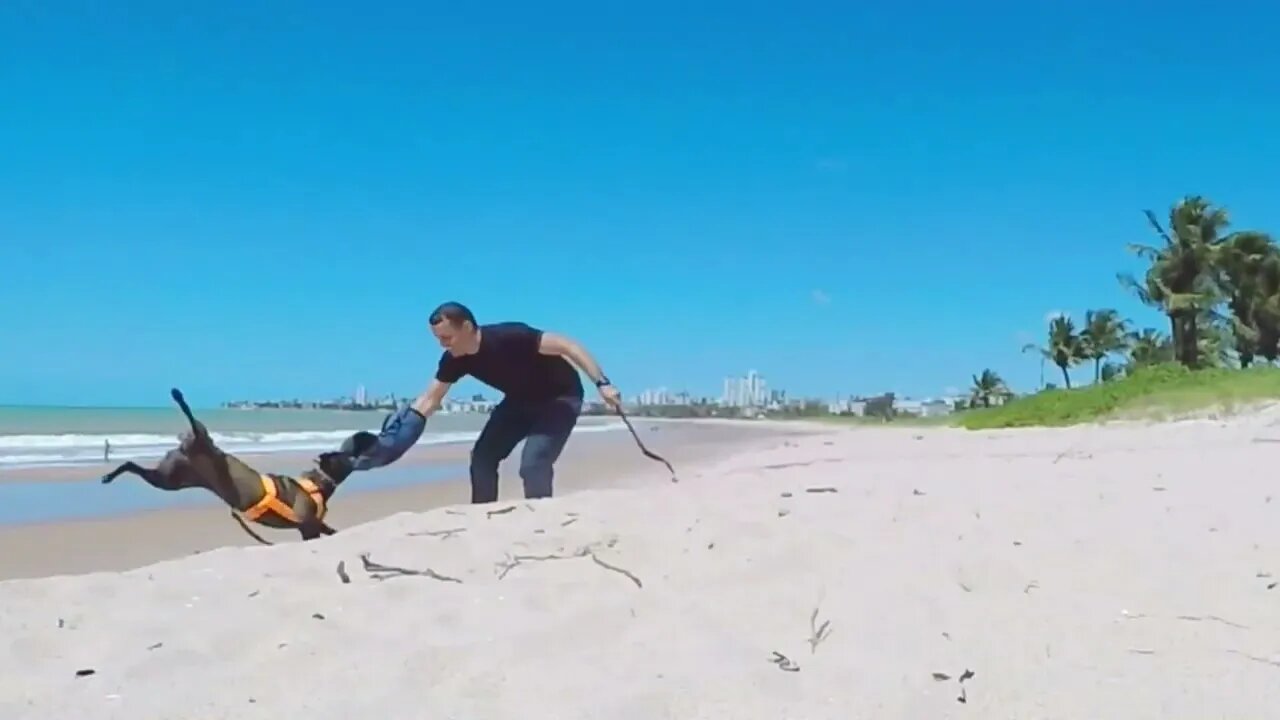 BÓIA TREINO PRAIA: 10.08.2022
