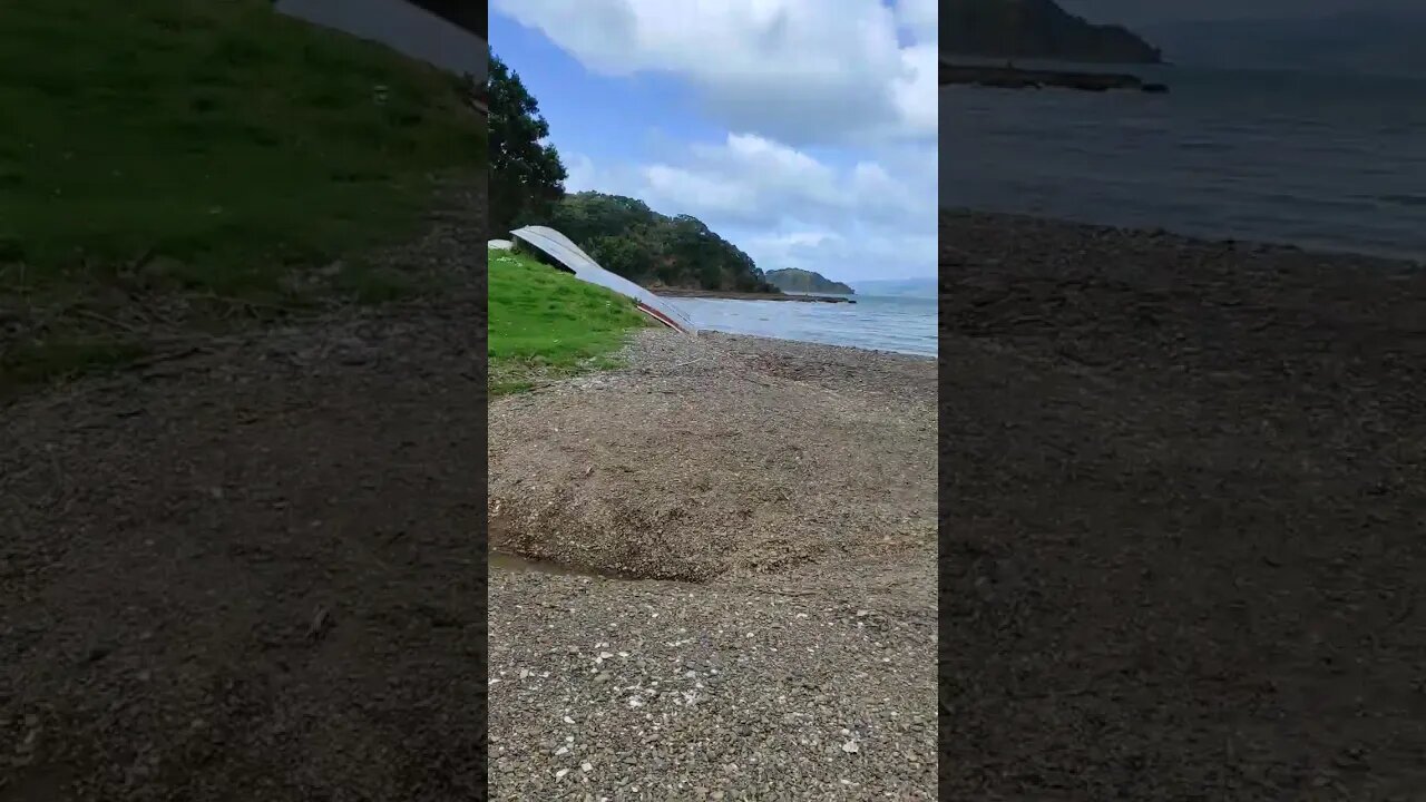 Windy beach