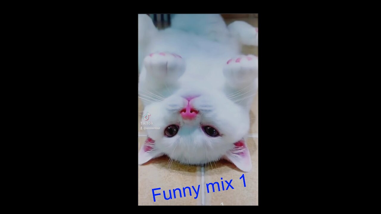 Funny Mix 1