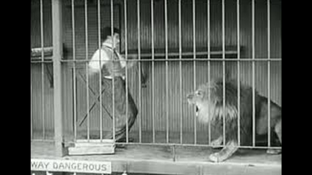 Charlie Chaplin - The Lion's Cage