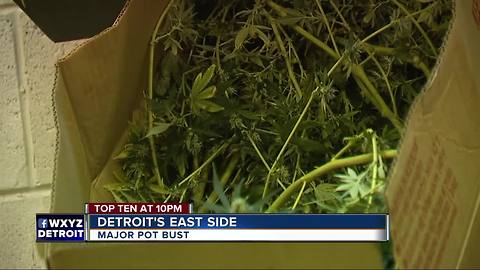 Major pot bust on Detroit's east side