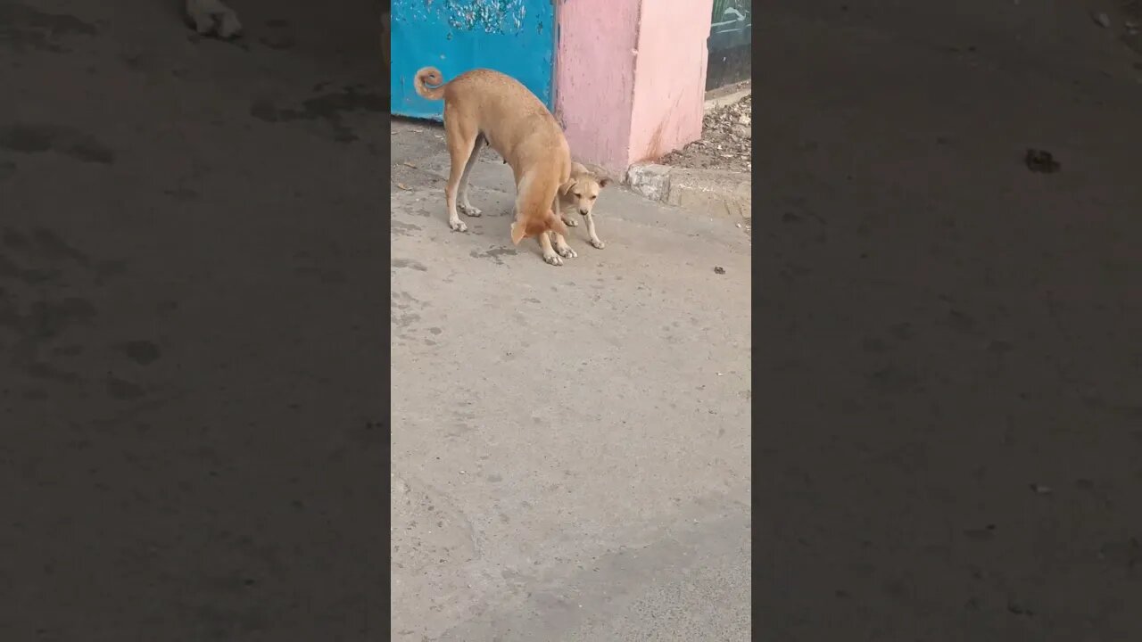 குசு காமெடி