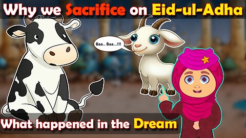 Why Sacrifice on Eid ul Adha