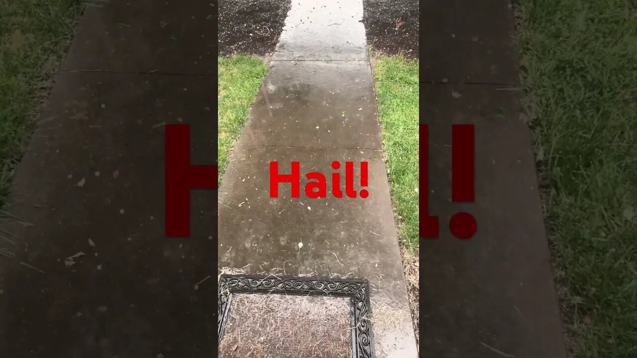June 4th 2023 #HAIL in #Tennessee! #Weather #shorts #shortsvideo