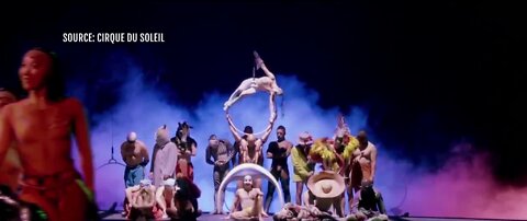 Cirque Du Soleil bankruptcy protection filing