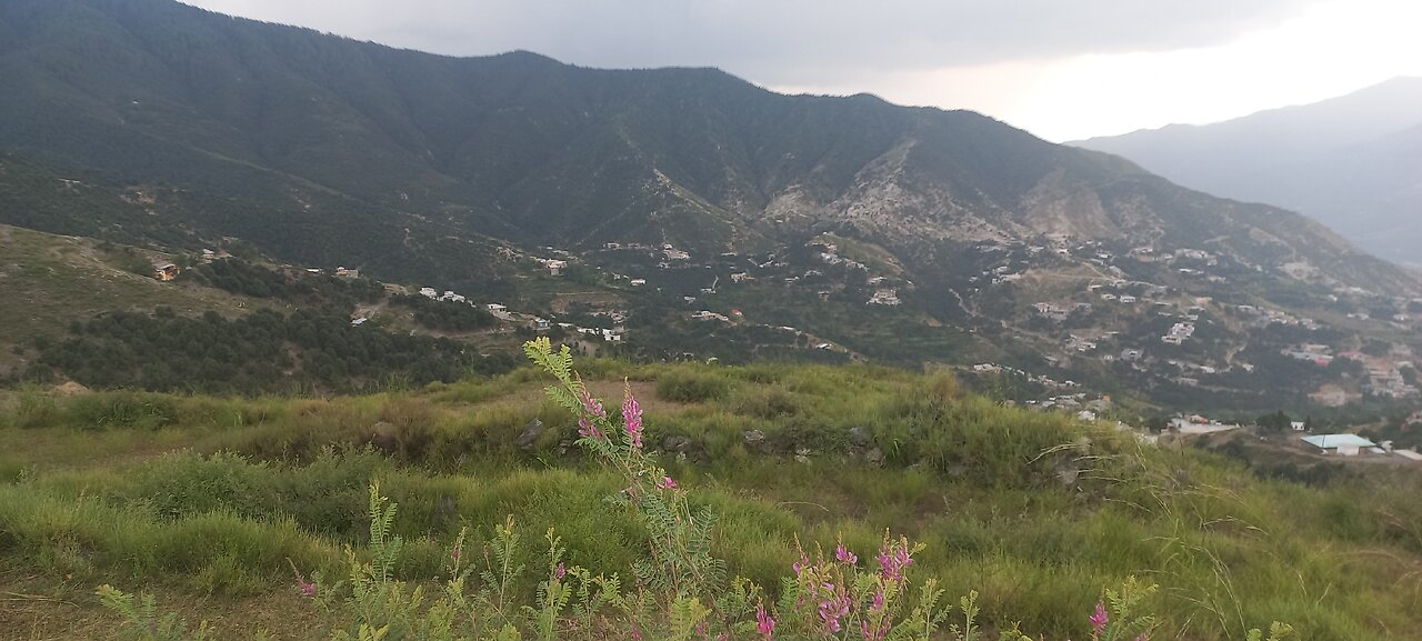 Beautiful village in Dir Upper