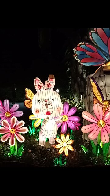 Marina Bay Gardens Evening Light Show