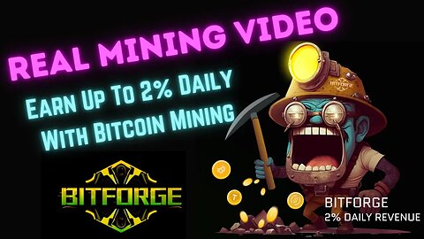 BitForge Mining | Real Mining Video From Team At BitForge ⛏️