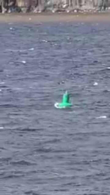 Photographie Suzanne Girard