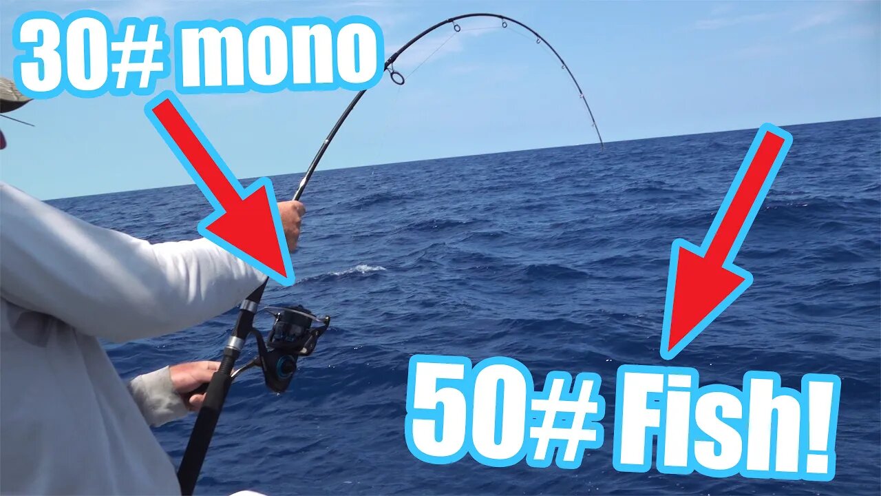 What it looks like to FIGHT a BIG 50# FISH on 30# mono