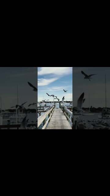 My God! 🙀 They pooped ….EVERYWHERE!! 🤬 #shorts