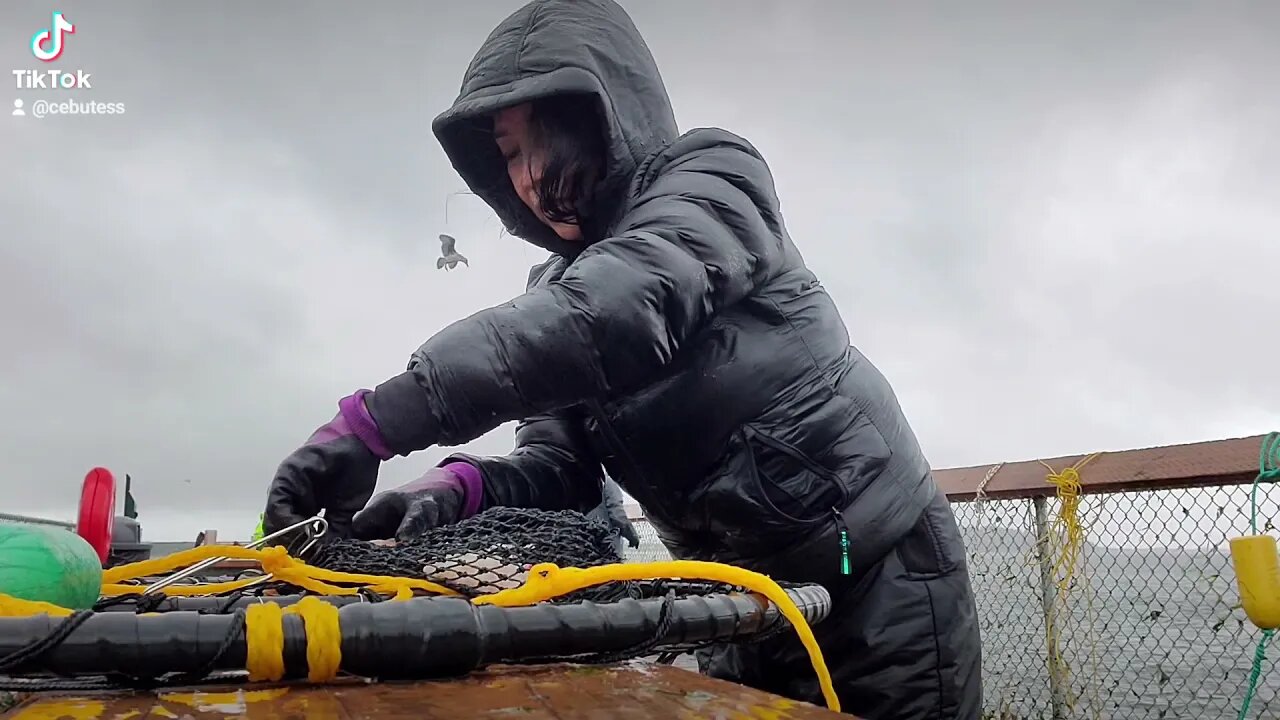 Oregon Coast Crabbing