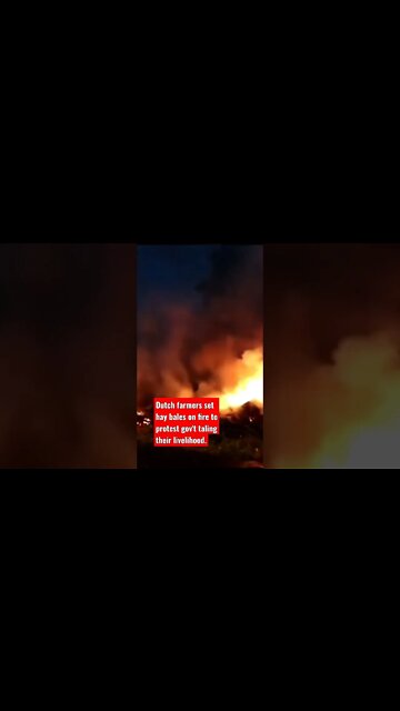 Farmers in the Netherlands set fire to bale hay next to the A50 highway in protest.