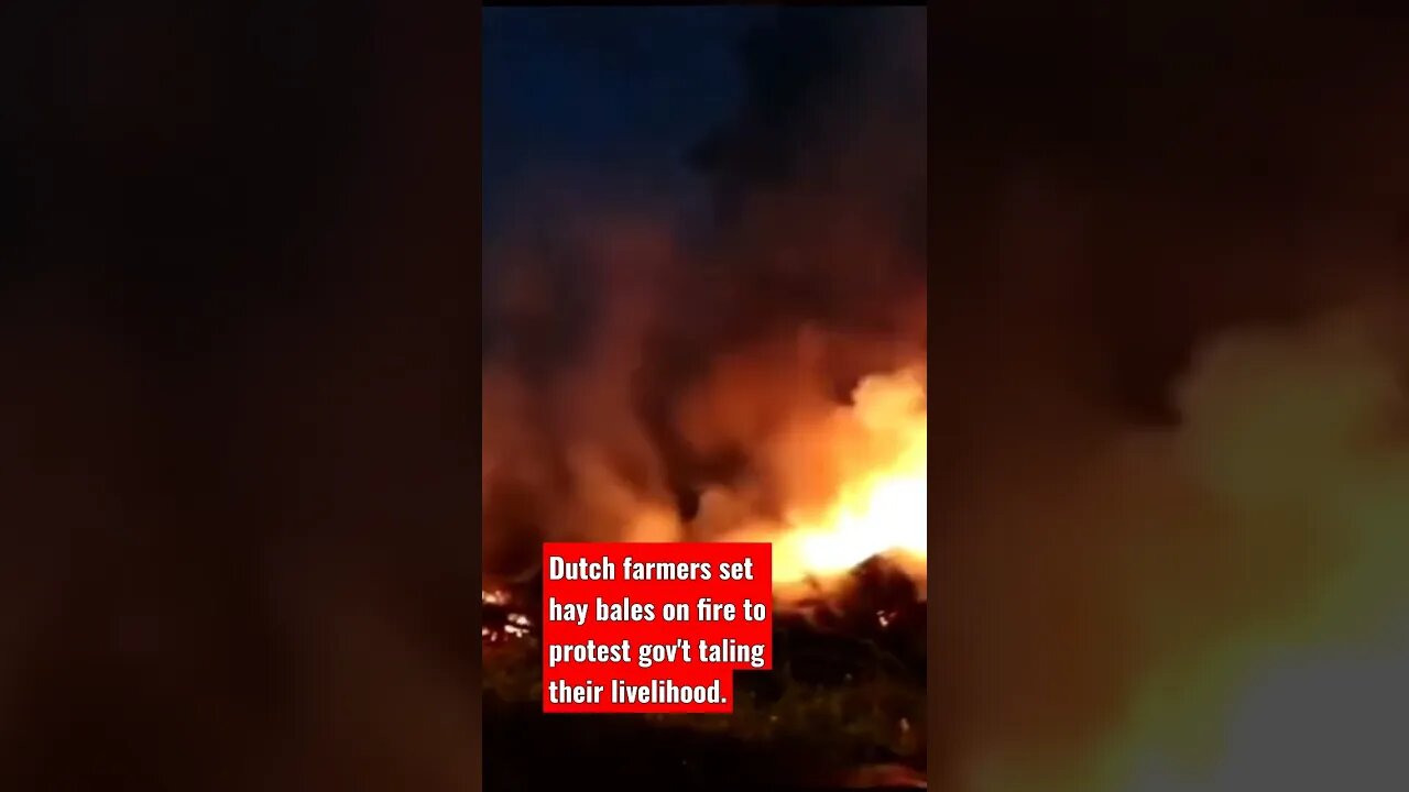 Farmers in the Netherlands set fire to bale hay next to the A50 highway in protest.