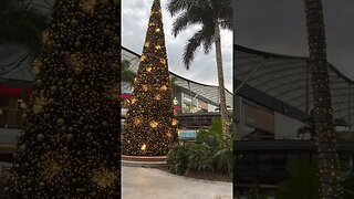 🎄 Merry Christmas - Australia || PACIFIC FAIR SHOPPING CENTRE