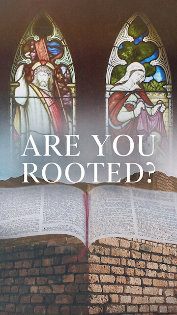 Firmly Established: We Need the Word of God