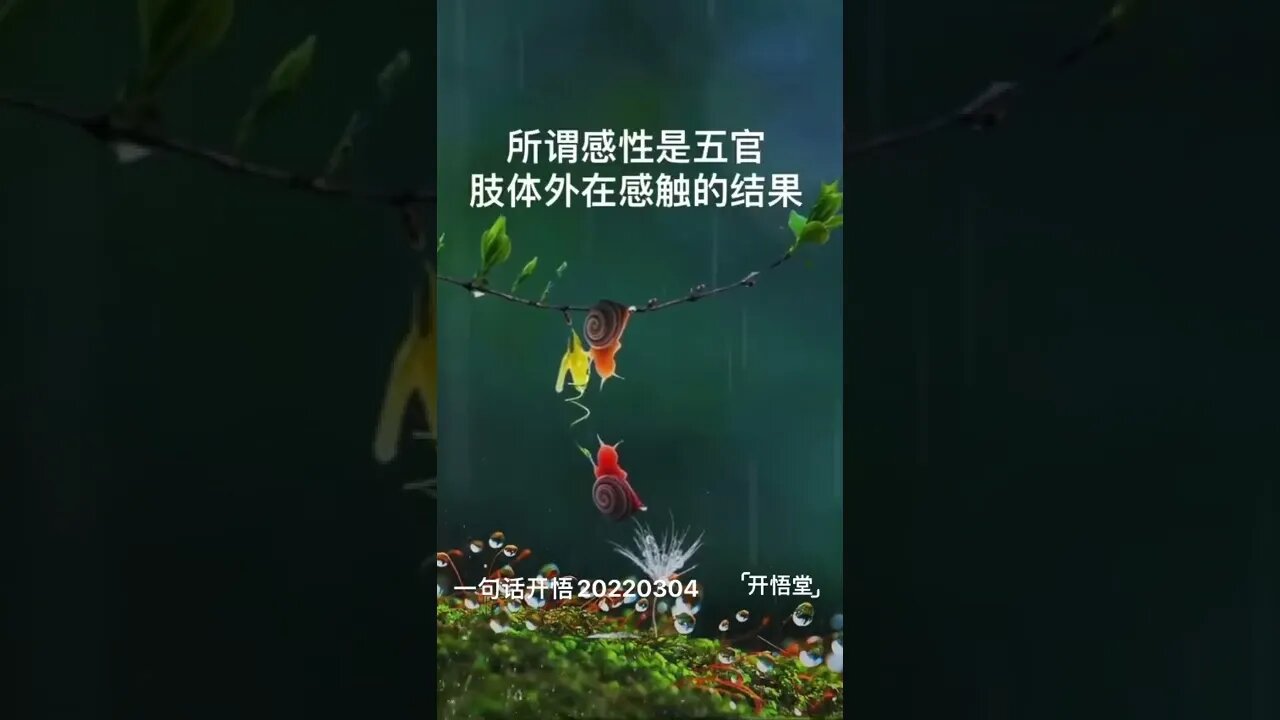 一句话开悟20220304