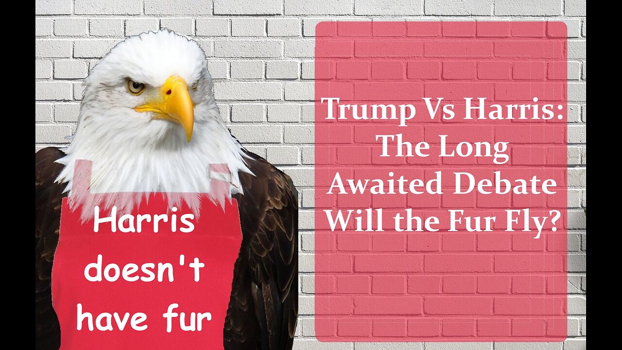 Trump Versus Harris: The Long Awaited Debate Will the Fur Fly?